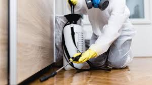 Trusted University Park, NM Pest control Experts